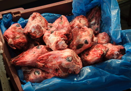 goat heads in a box